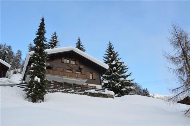 Chalet Ariane ナータース エクステリア 写真