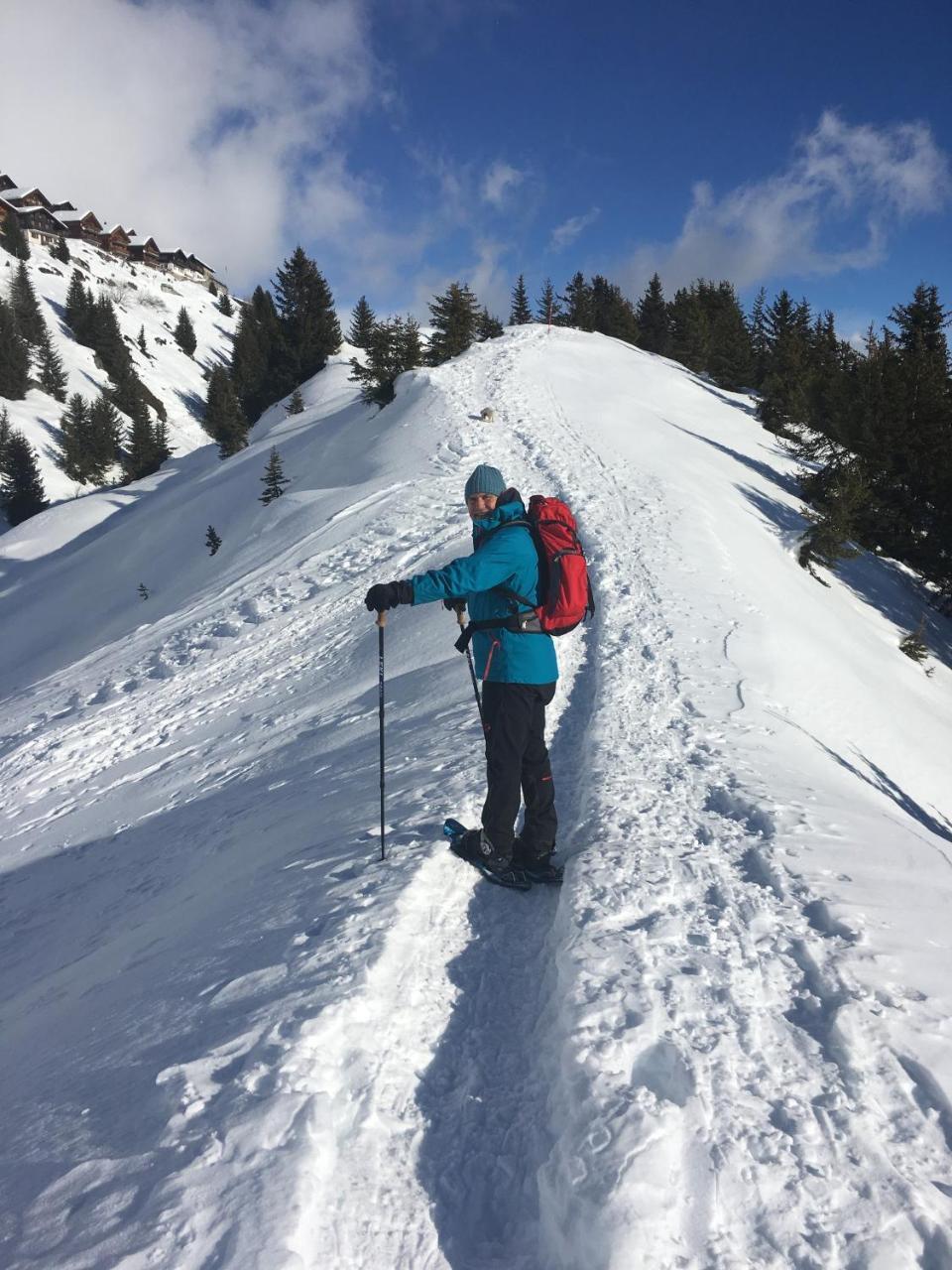 Chalet Ariane ナータース エクステリア 写真